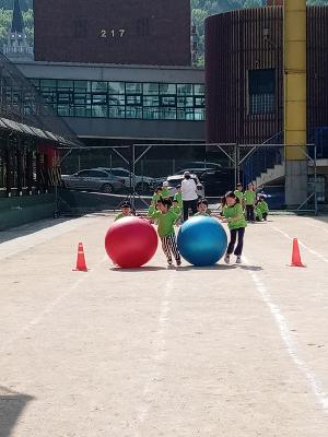 어린이날 기념 학년별 체육행사